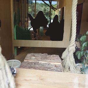 Domestic fancy mouse exhibit in the "Mäusescheune" ("Mouse barn") indoor playground, 2025-05-22