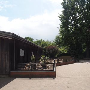 Guinea pig and Rabbit outdoor pens and walkway next to rodent exhibits, 2025-05-22