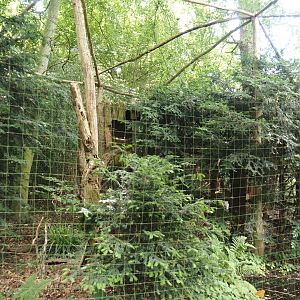 Eurasian eagle owl aviary, 2025-05-22