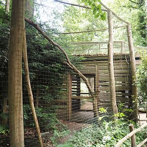 Part of Eurasian eagle owl aviary and part of viewing area, 2025-05-22