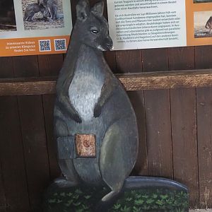 Wallaby signage - Wallaby model with flap showing little joey in pouch, 2025-05-22