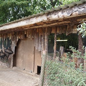 Red-necked wallaby barn, 2025-05-22