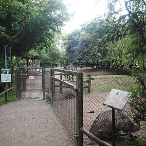 Entrance to the Emu and Red-necked wallaby walk-through exhibit, 2025-05-22