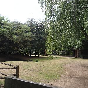 Emu and Red-necked wallaby walk-through exhibit, 2025-05-22