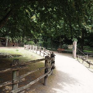 Emu and Red-necked wallaby walk-through exhibit, 2025-05-22