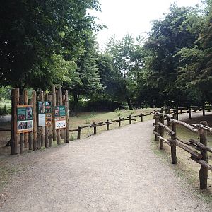 Emu and Red-necked wallaby walk-through exhibit, 2025-05-22