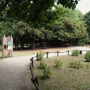 Emu and Red-necked wallaby walk-through exhibit, 2025-05-22