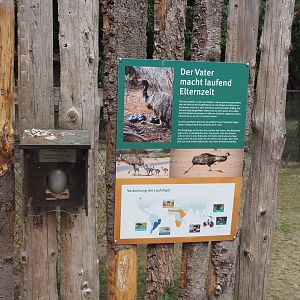 Emu and ratite signage with emu egg, 2025-05-22