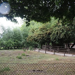 Emu and Red-necked wallaby walk-through exhibit, 2025-05-22