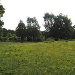 Llama and Patagonian mara walk-through exhibit, 2025-05-22