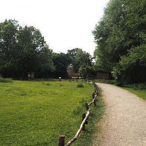 Llama and Patagonian mara walk-through exhibit, 2025-05-22