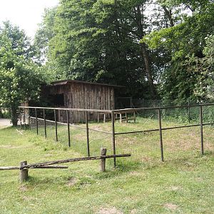 Patagonian mara barn and separation paddock, 2025-05-22