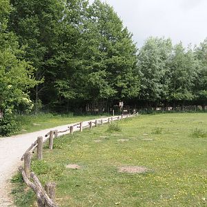 Llama and Patagonian mara walk-through exhibit, 2025-05-22