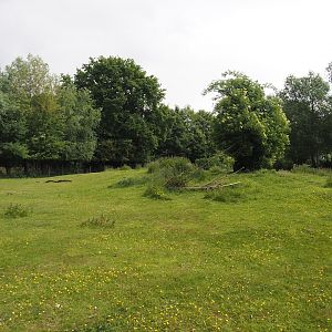 Llama and Patagonian mara walk-through exhibit, 2025-05-22