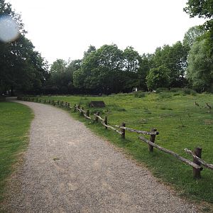 Llama and Patagonian mara walk-through exhibit, 2025-05-22