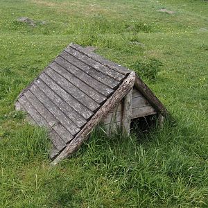 Patagonian mara shelter, 2025-05-22