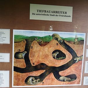 Prairie dog dens signage, 2025-05-22