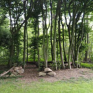 Sitting area under trees, 2025-05-22