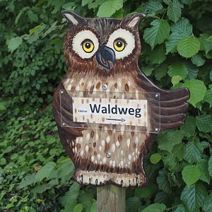 Sign pointing to Wald-Erlebnispfad, forest education and experience trail, 2025-05-22