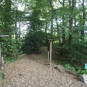 Wald-Erlebnispfad, forest education and experience trail, 2025-05-22