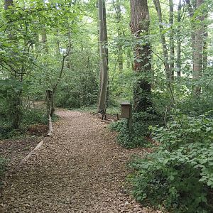 Wald-Erlebnispfad, forest education and experience trail, 2025-05-22