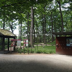 Barbary macaque walk-through exhibit, 2025-05-22