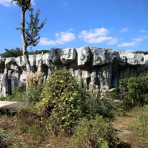 Gorilla Outdoor Exhibit, the 1st Yard