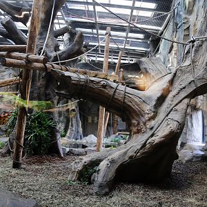 Gorilla Indoor Exhibit, the 1st Enclosure