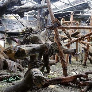 Gorilla Indoor Exhibit, the 2nd Enclosure