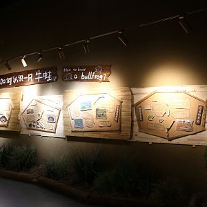 “How to Know a Bullfrog”