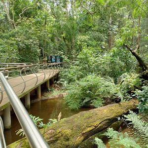 Cecropia aviaries - Parque das Aves