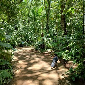 Cecropia aviaries - Parque das Aves