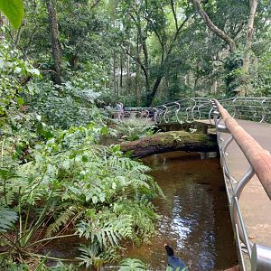 Cecropia aviaries - Parque das Aves