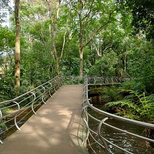 Cecropia aviaries - Parque das Aves