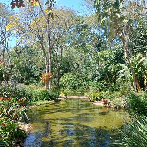 Entrance pond - Parque das Aves