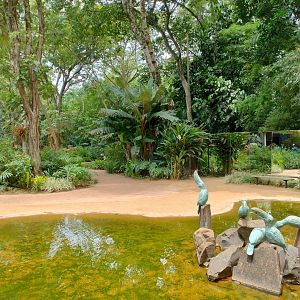 Entrance pond - Parque das Aves