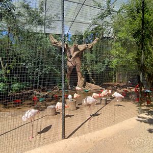 Tree of life aviary - Parque das Aves