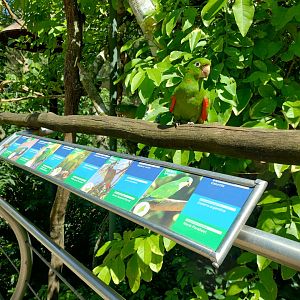 Cecropia aviaries - Parque das Aves