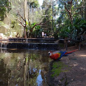 Macaw aviary - Parque das Aves