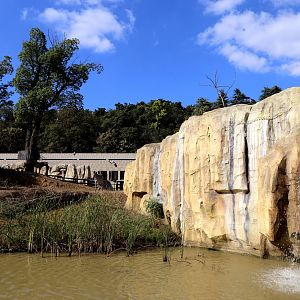 Savanna Exhibit, Waterhole