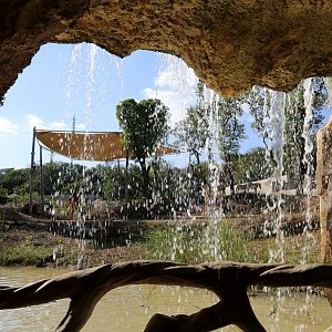 A View Through the Waterfall to the Savanna Exhibit
