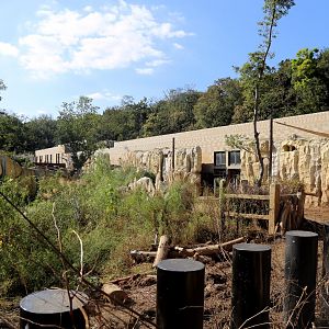 White Rhinoceros Exhibit