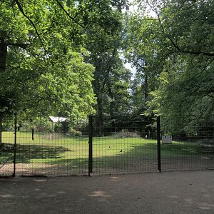 Western sitatunga and Eastern grey crowned crane exhibit, 2025-05-22