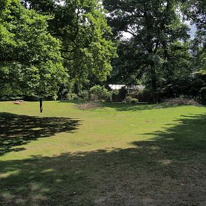 Western sitatunga and Eastern grey crowned crane exhibit, 2025-05-22