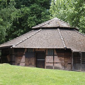 Savanna stable building, Western sitatunga and Eastern grey crowned crane side, 2025-05-22