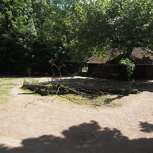 Chapman's zebra paddock, 2025-05-22