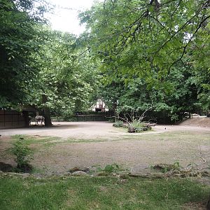 Chapman's zebra paddock, 2025-05-22