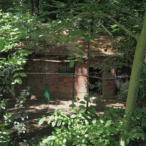 Spare/quarantine exhibit, 2025-05-22