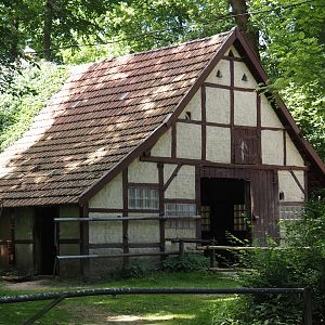 Domestic Bactrian camel barn, 2025-05-22