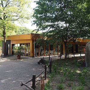 Aquarium and terrarium room and Zoo School, 2025-05-22